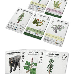 REFOREST: PLANTS OF THE PACIFIC NORTHWEST COAST