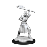 CR UNPAINTED MINIS WV1  HALF-ELF ECHO KNIGHT/FEMALE