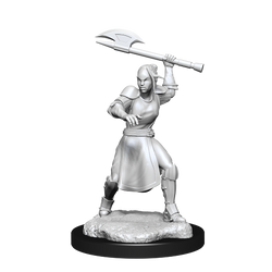 CR UNPAINTED MINIS WV1  HALF-ELF ECHO KNIGHT/FEMALE