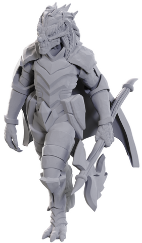 DND UNPAINTED MINIS WV25