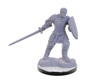 Dnd Unpainted Minis Wv22 Reborn  Paladin/Warlock