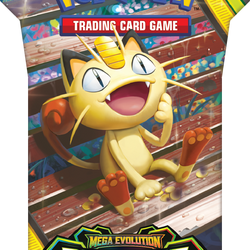 SLEEVED POKEMON ME03 PERFECT ORDER PACK